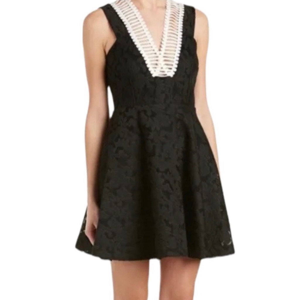 Sandro Paris Designer Lace Mesh Flare Dress Size 1